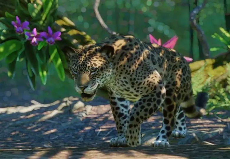 Planet Zoo Südamerika DLC - Jaguar